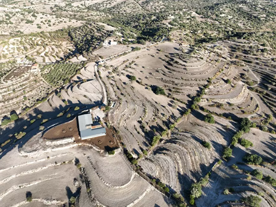 Immagine 29 di Terreno in vendita  in Provinciale 55 a Ragusa