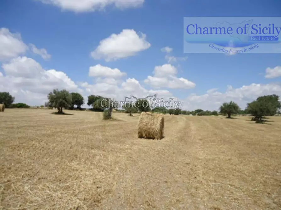 Immagine 22 di Rustico / casale in vendita  in Via Palazzelle Scalonazzo a Modica