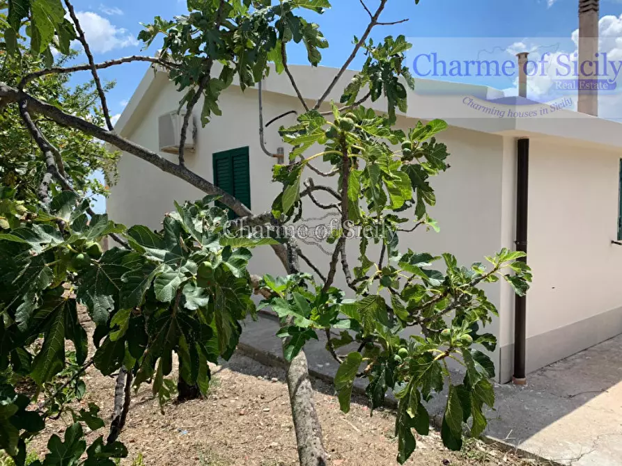 Immagine 12 di Villa in vendita  in Via del tellesimo a Ragusa