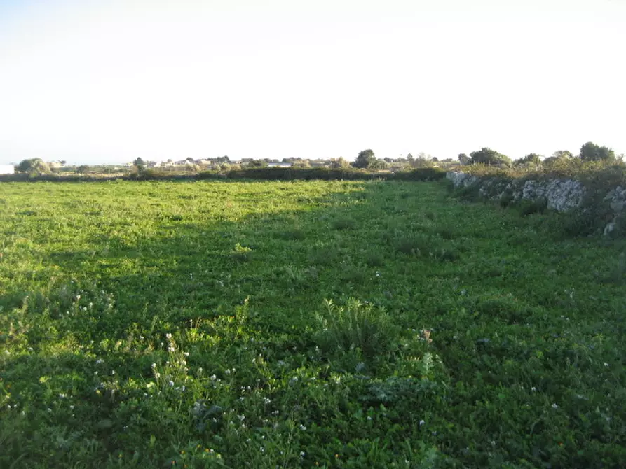 Immagine 2 di Rustico / casale in vendita  in Via Comunale Vanella Balli a Modica