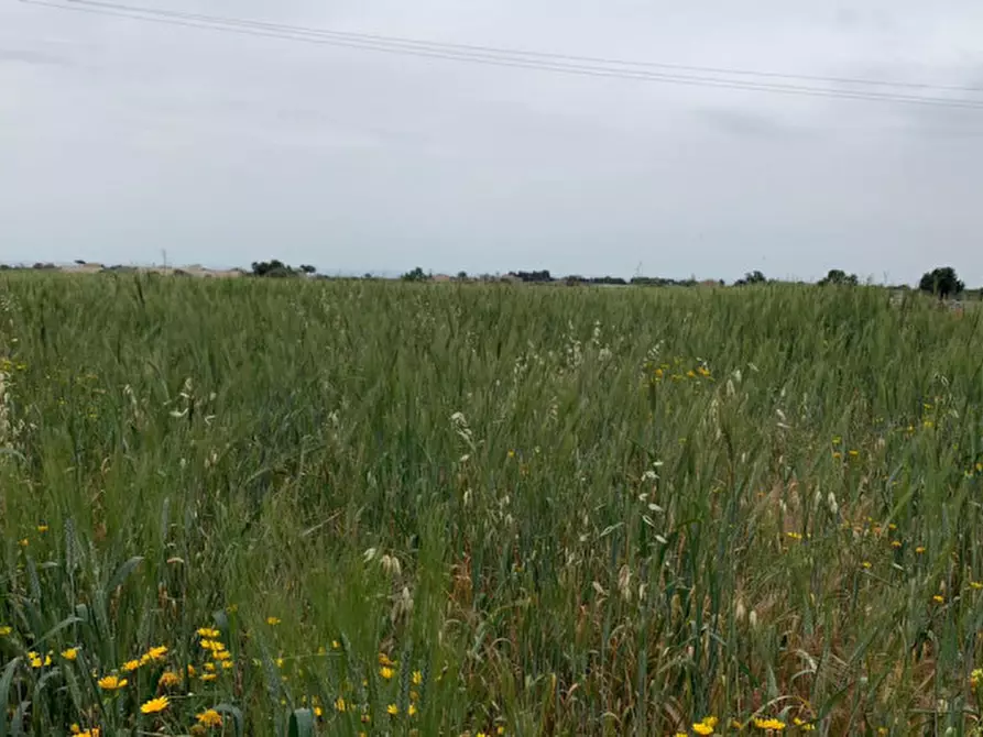 Immagine 8 di Rustico / casale in vendita  in Via Comunale Vanella Balli a Modica