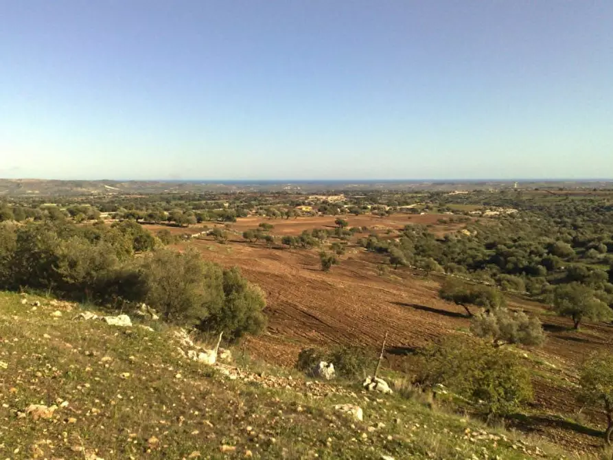 Immagine 7 di Villa in vendita  in Contrada Pezzettulla a Rosolini