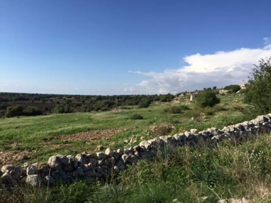 Immagine 18 di Villa in vendita  in Contrada Pezzettulla a Rosolini