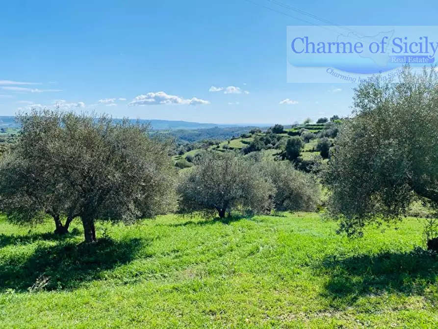 Immagine 28 di Rustico / casale in vendita  in Provinciale 107 a Modica