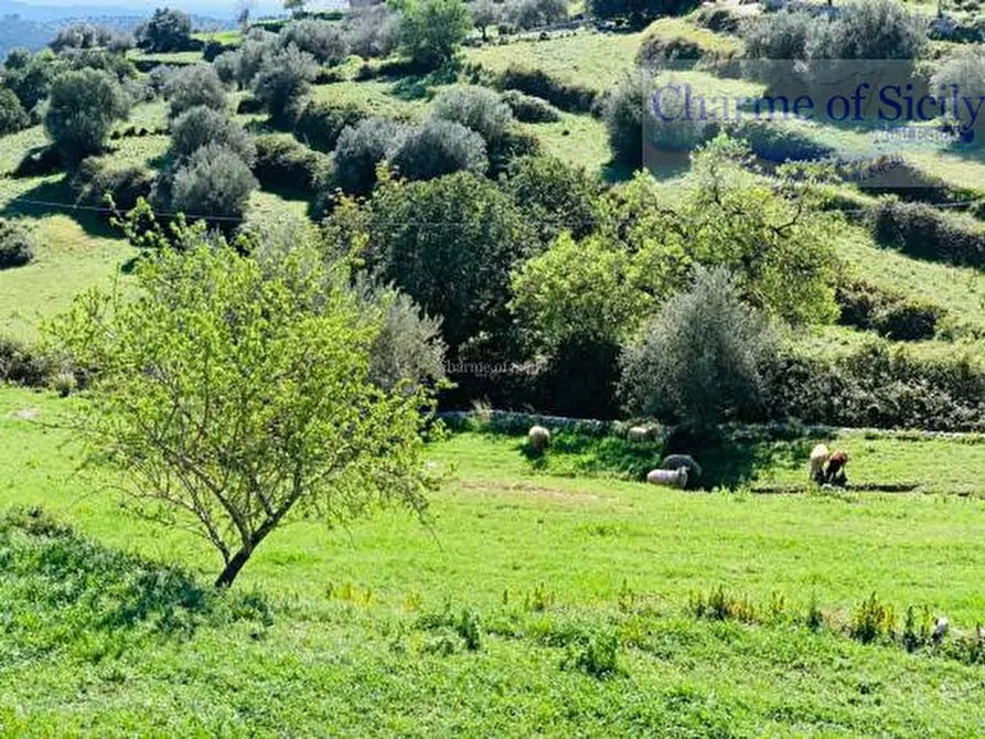 Immagine 44 di Rustico / casale in vendita  in Provinciale 107 a Modica