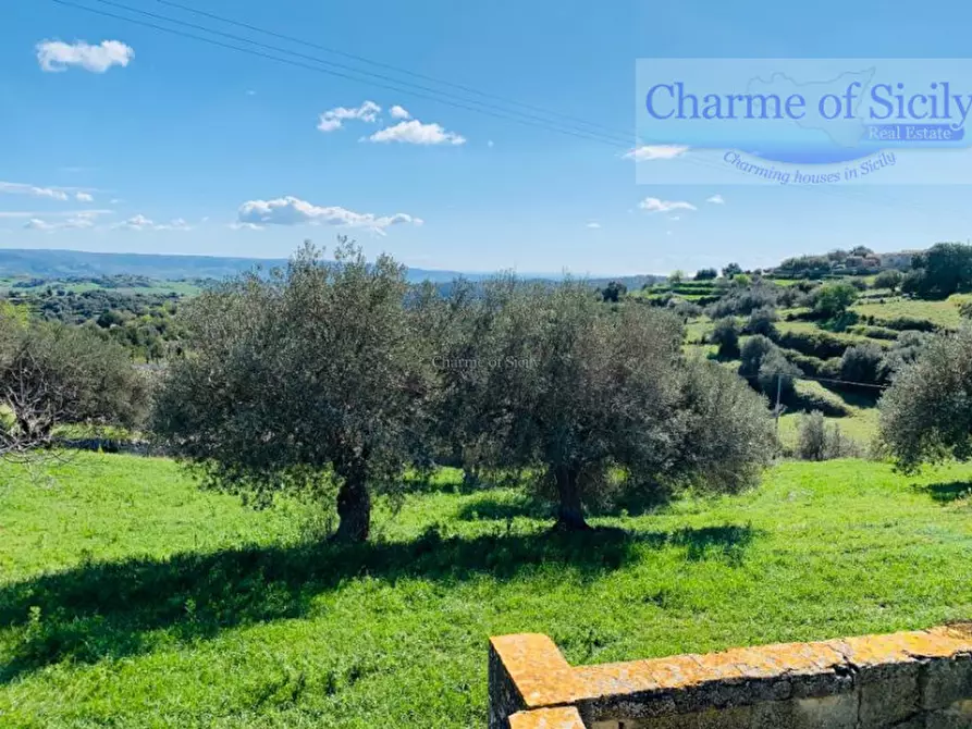 Immagine 45 di Rustico / casale in vendita  in Provinciale 107 a Modica