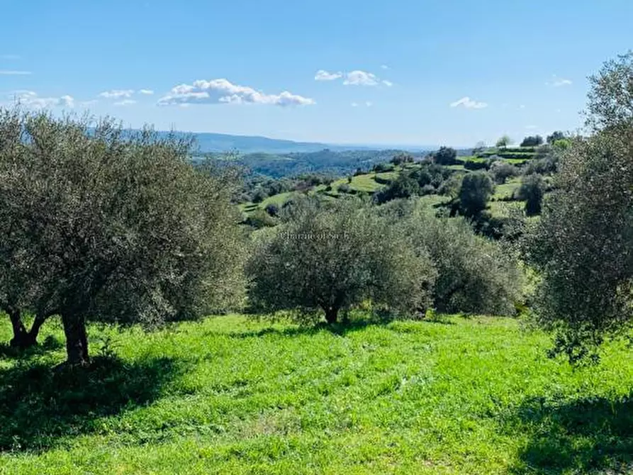 Immagine 46 di Rustico / casale in vendita  in Provinciale 107 a Modica