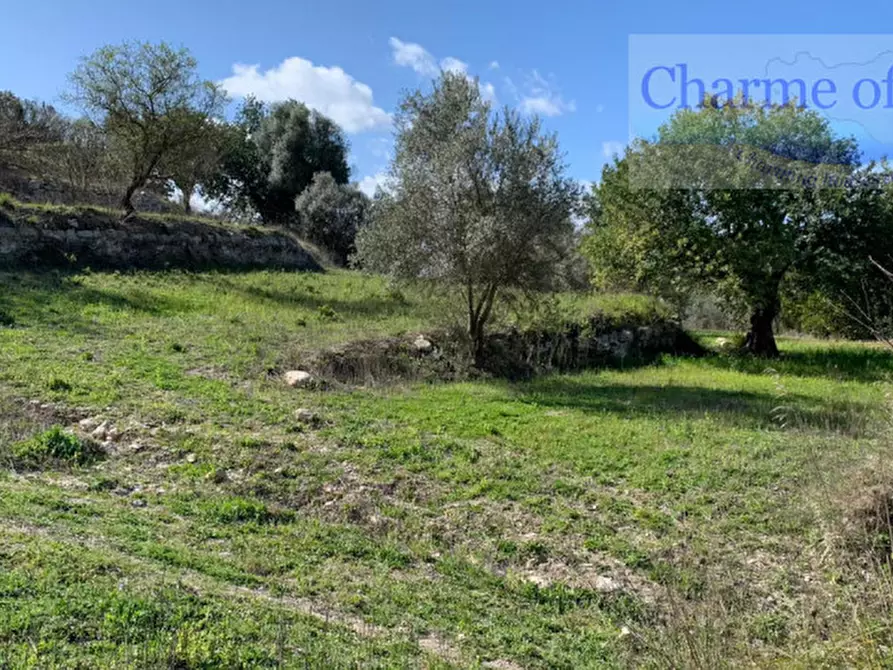 Immagine 2 di Terreno in vendita  in contrada Barco a Modica
