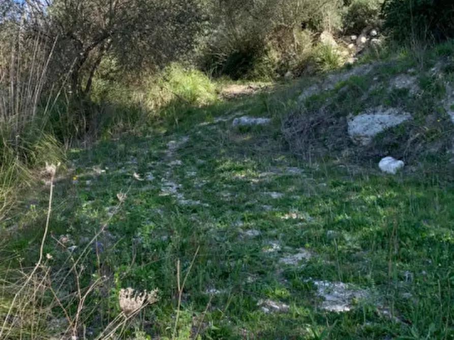 Immagine 3 di Terreno in vendita  in contrada Barco a Modica
