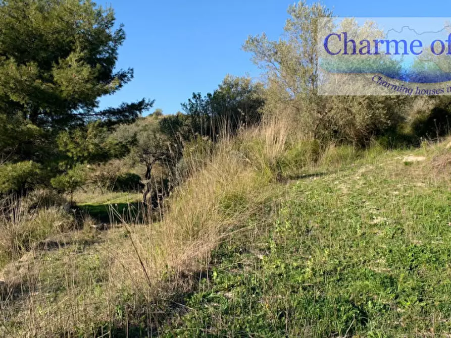 Immagine 7 di Terreno in vendita  in contrada Barco a Modica