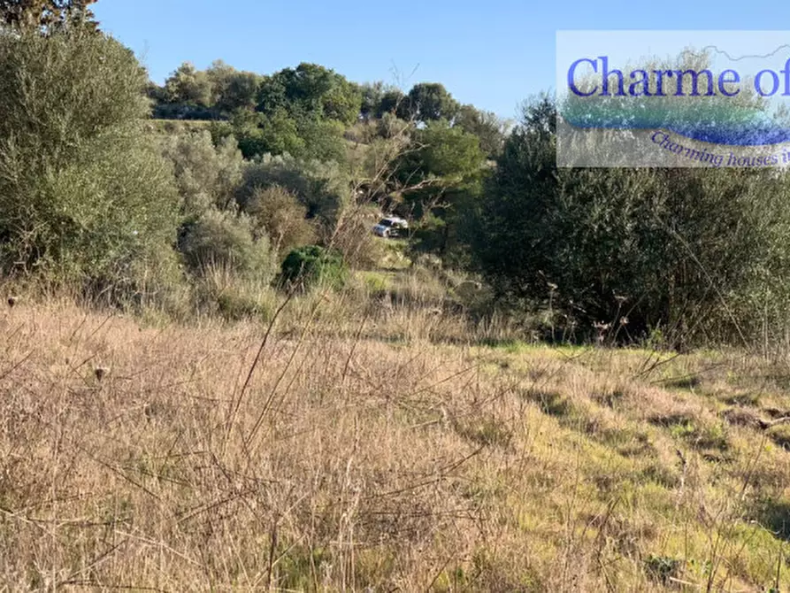 Immagine 8 di Terreno in vendita  in contrada Barco a Modica