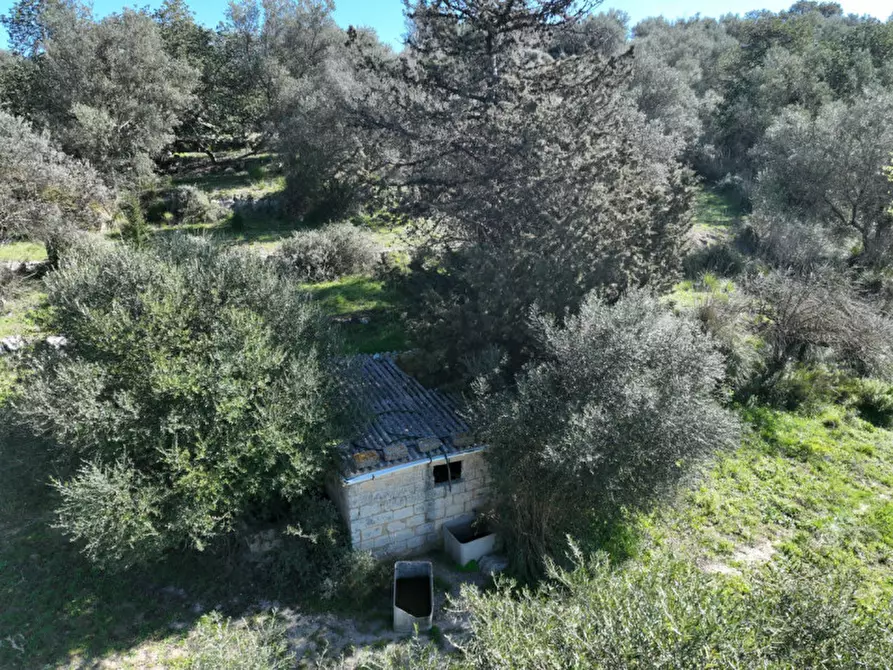 Immagine 9 di Terreno in vendita  in contrada Barco a Modica
