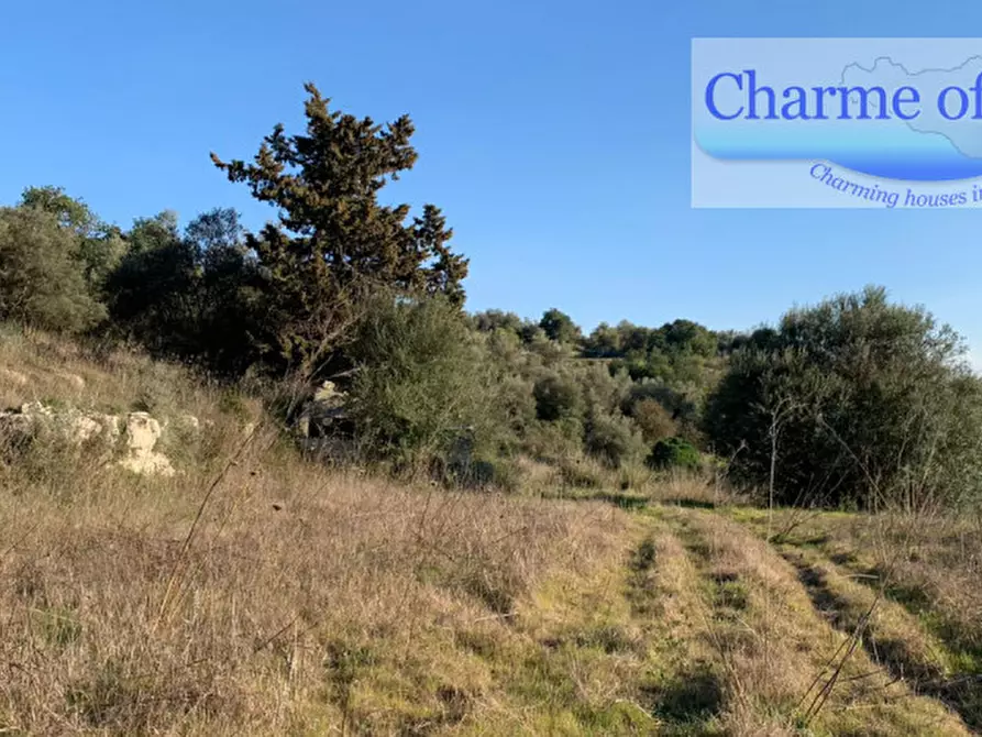 Immagine 9 di Terreno in vendita  in contrada Barco a Modica