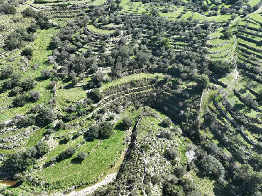 Immagine 10 di Terreno in vendita  in contrada Barco a Modica