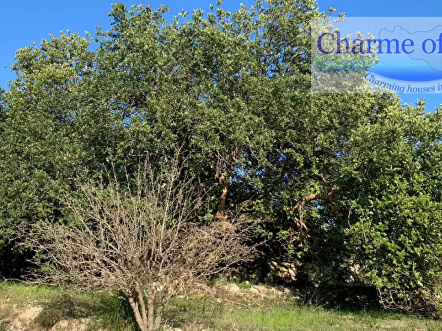 Immagine 10 di Terreno in vendita  in contrada Barco a Modica