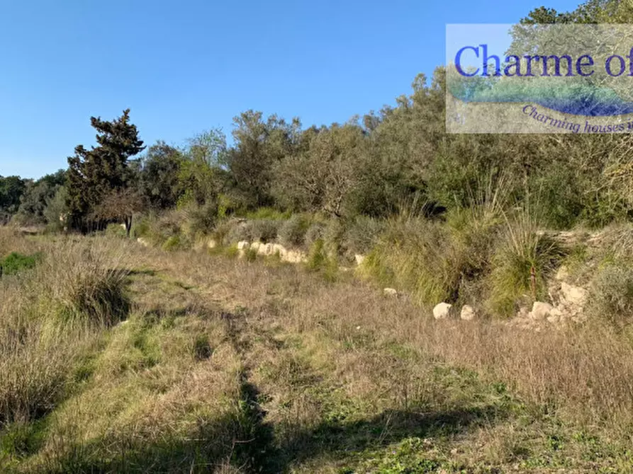 Immagine 11 di Terreno in vendita  in contrada Barco a Modica