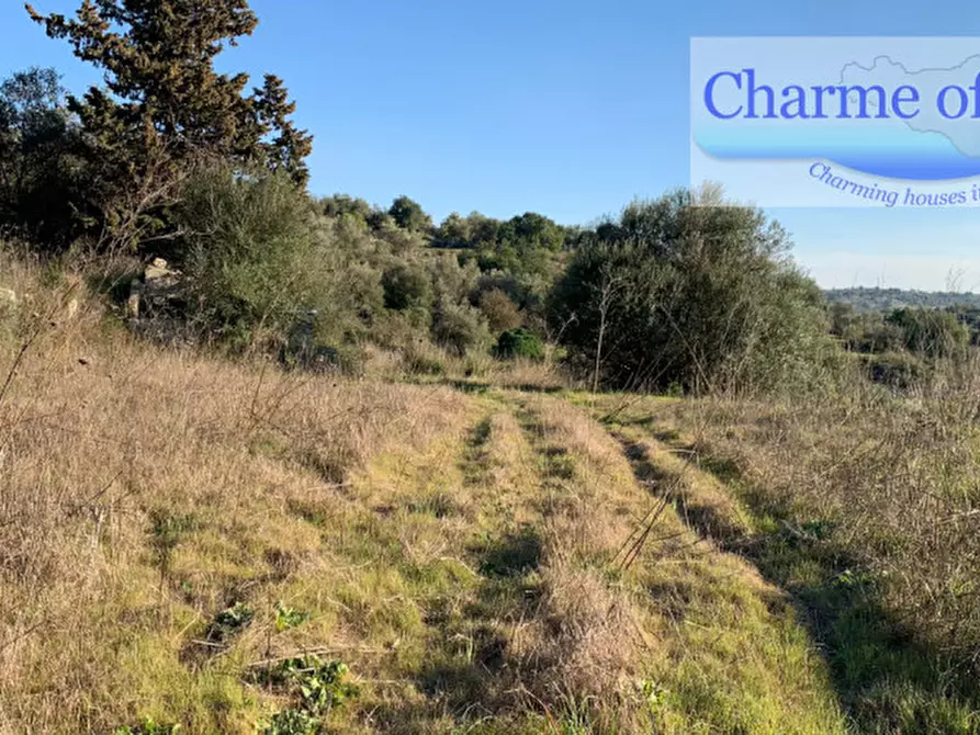 Immagine 13 di Terreno in vendita  in contrada Barco a Modica