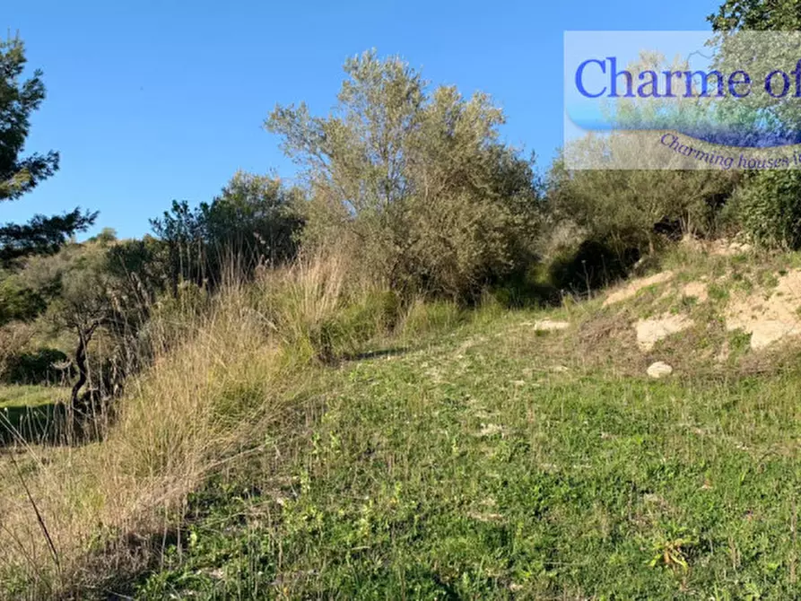 Immagine 14 di Terreno in vendita  in contrada Barco a Modica