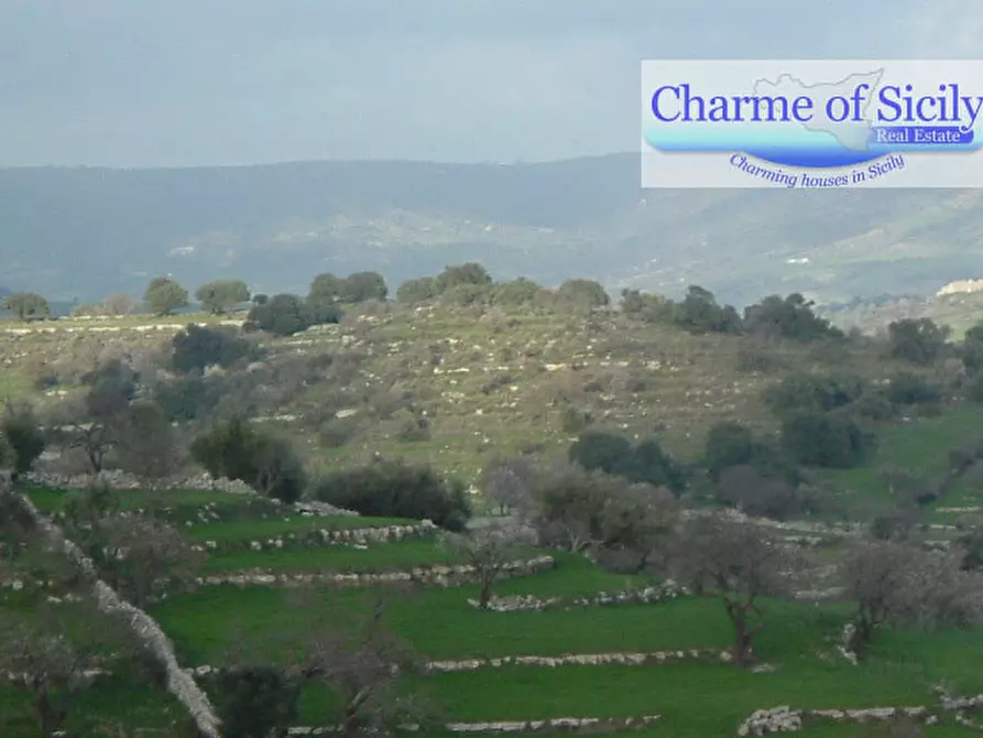 Immagine 16 di Terreno in vendita  in contrada Barco a Modica
