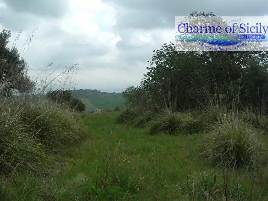 Immagine 23 di Terreno in vendita  in contrada Barco a Modica