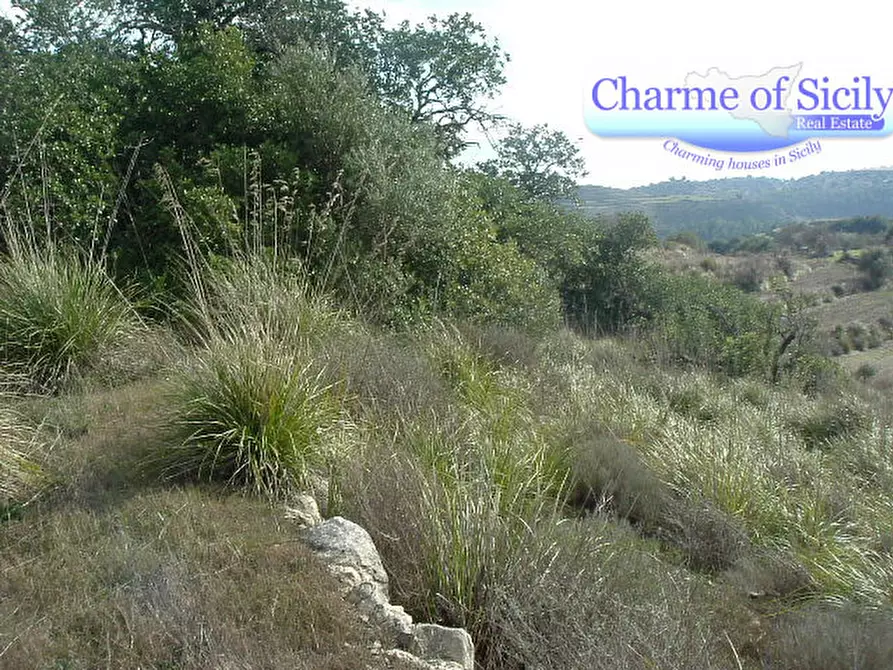 Immagine 35 di Terreno in vendita  in contrada Barco a Modica