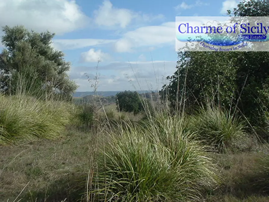 Immagine 37 di Terreno in vendita  in contrada Barco a Modica