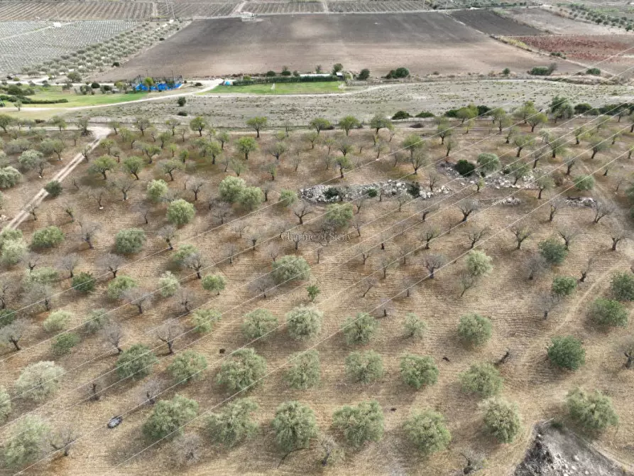 Immagine 1 di Rustico / casale in vendita  in Provinciale 56 a Noto