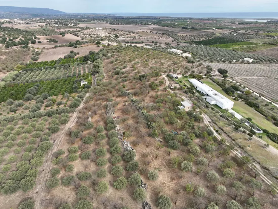 Immagine 2 di Rustico / casale in vendita  in Provinciale 56 a Noto