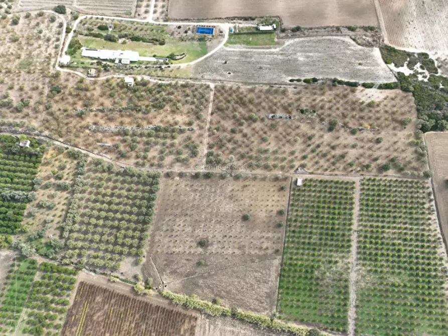 Immagine 3 di Rustico / casale in vendita  in Provinciale 56 a Noto