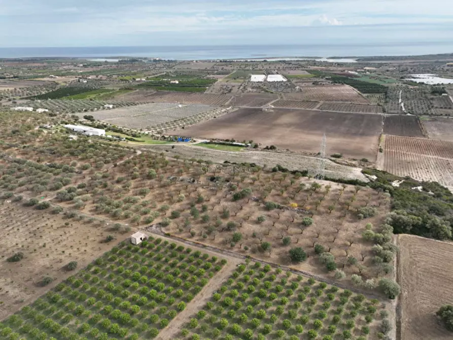 Immagine 4 di Rustico / casale in vendita  in Provinciale 56 a Noto