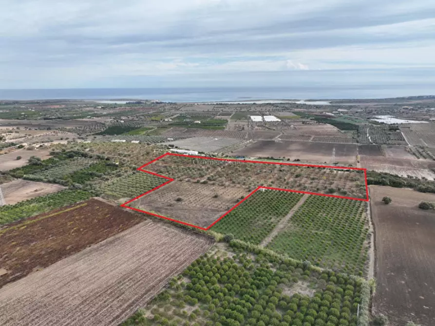 Immagine 5 di Rustico / casale in vendita  in Provinciale 56 a Noto