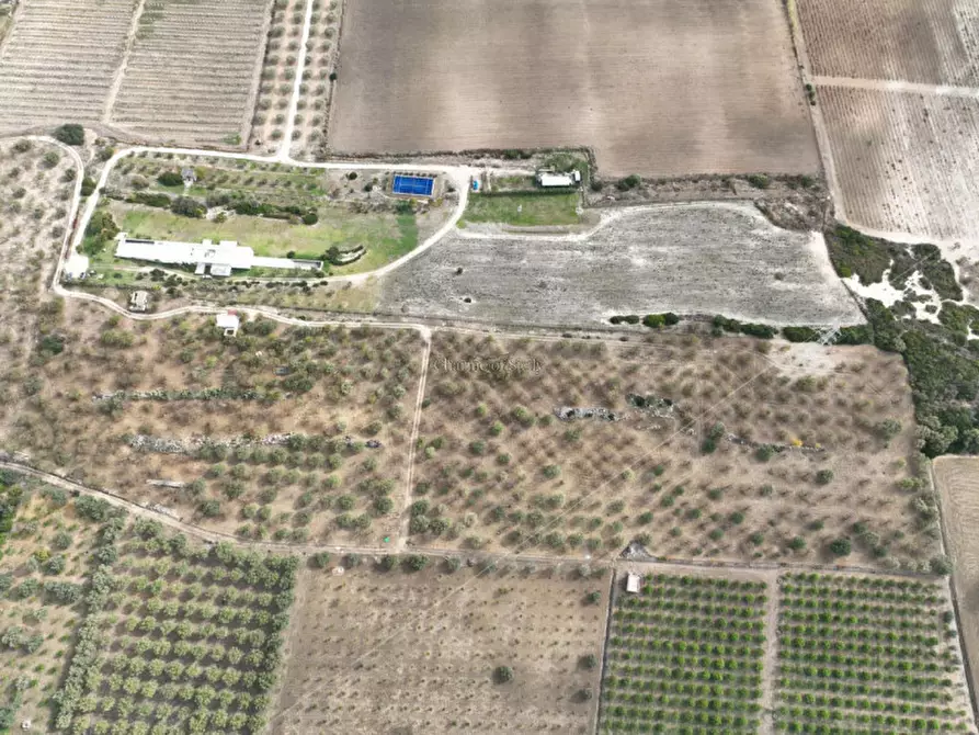 Immagine 8 di Rustico / casale in vendita  in Provinciale 56 a Noto