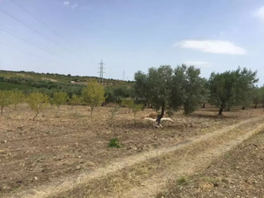 Immagine 14 di Rustico / casale in vendita  in Provinciale 56 a Noto
