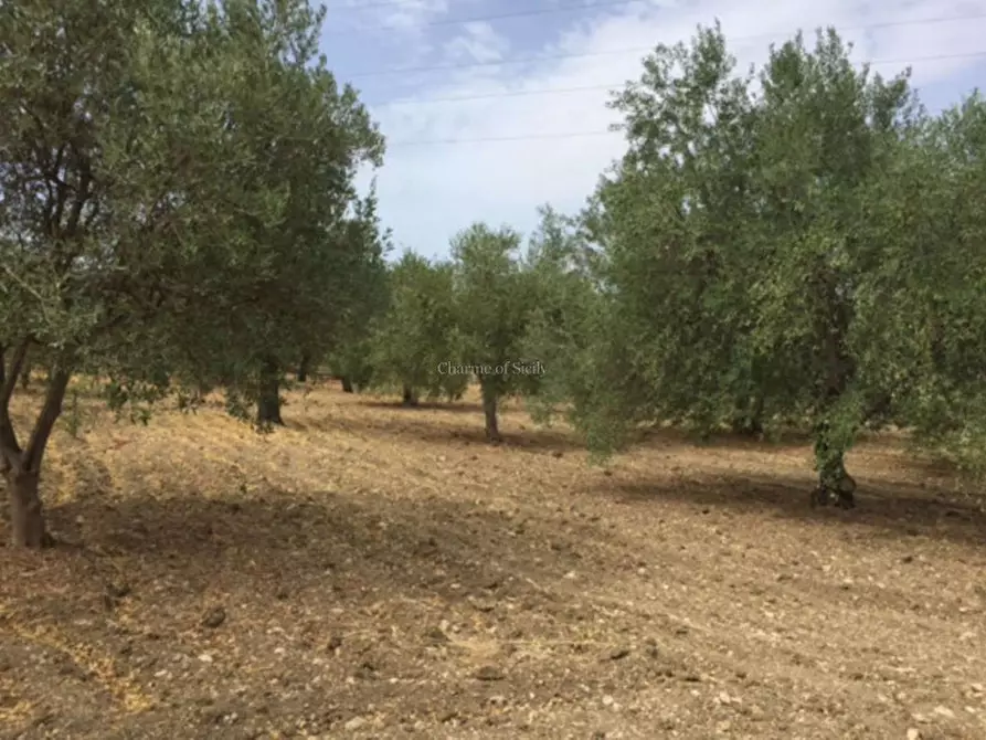 Immagine 16 di Rustico / casale in vendita  in Provinciale 56 a Noto