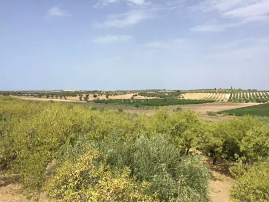 Immagine 17 di Rustico / casale in vendita  in Provinciale 56 a Noto