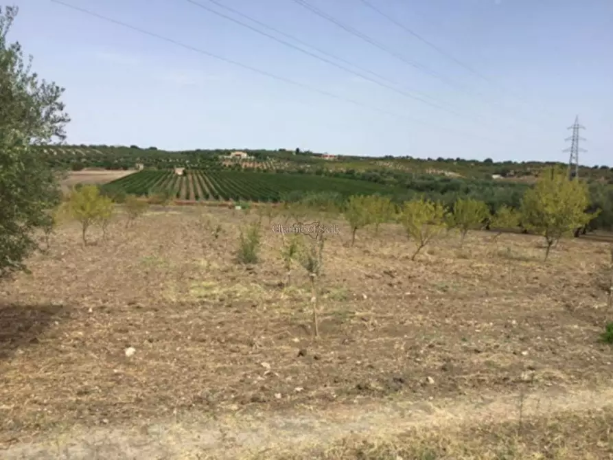 Immagine 18 di Rustico / casale in vendita  in Provinciale 56 a Noto