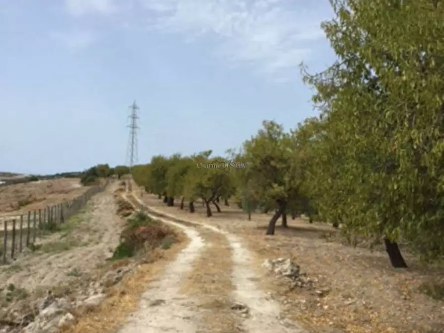 Immagine 19 di Rustico / casale in vendita  in Provinciale 56 a Noto