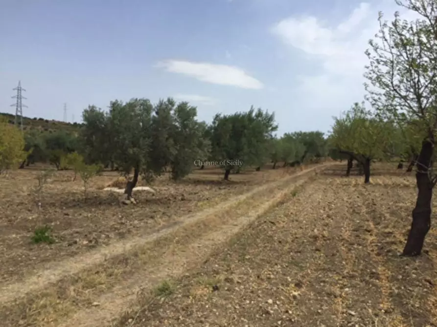 Immagine 20 di Rustico / casale in vendita  in Provinciale 56 a Noto