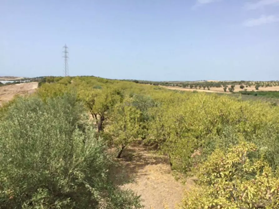 Immagine 21 di Rustico / casale in vendita  in Provinciale 56 a Noto