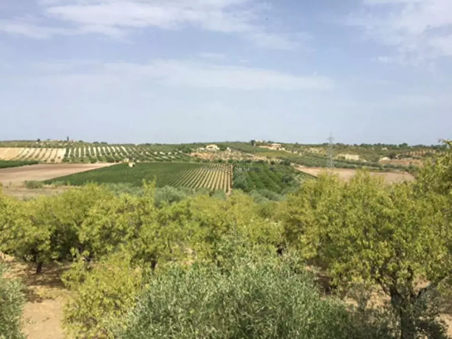 Immagine 22 di Rustico / casale in vendita  in Provinciale 56 a Noto