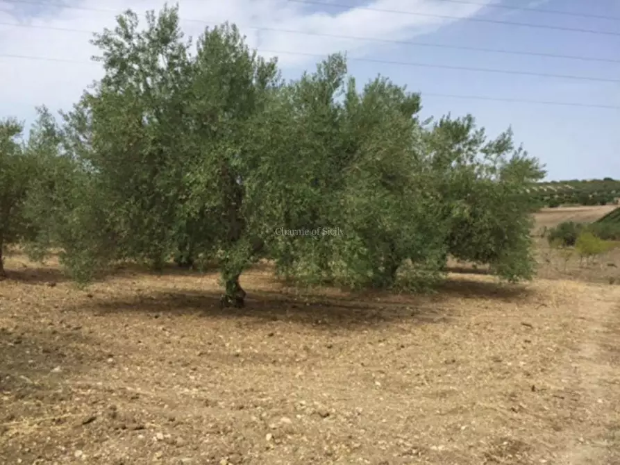 Immagine 23 di Rustico / casale in vendita  in Provinciale 56 a Noto