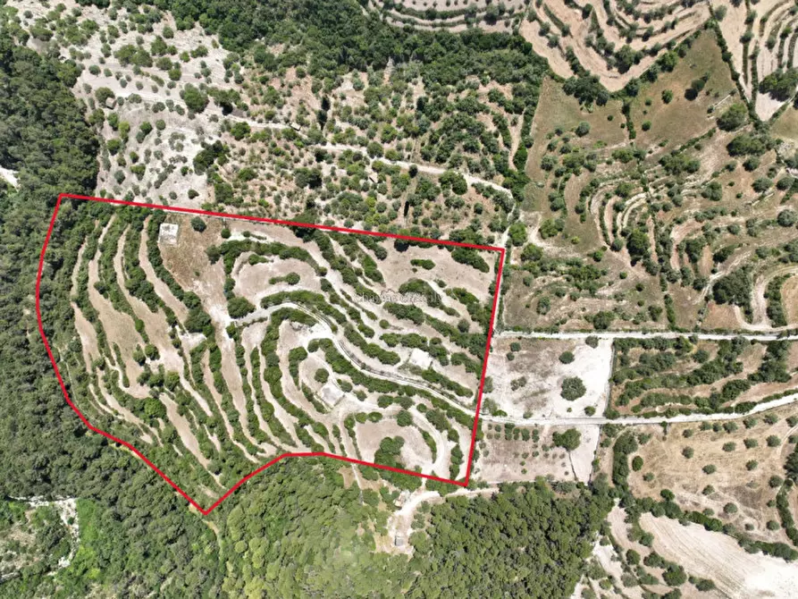 Immagine 1 di Terreno in vendita  in Provinciale 79 a Modica