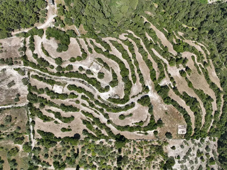 Immagine 2 di Terreno in vendita  in Provinciale 79 a Modica