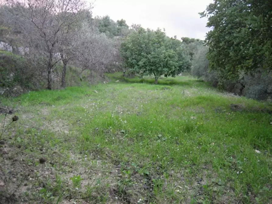 Immagine 3 di Terreno in vendita  in Provinciale 79 a Modica