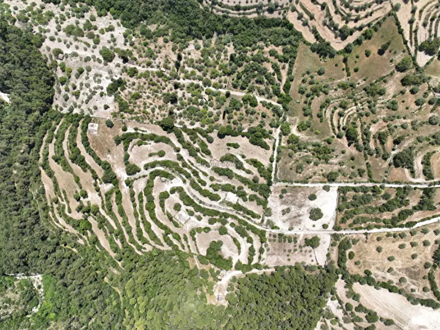 Immagine 3 di Terreno in vendita  in Provinciale 79 a Modica