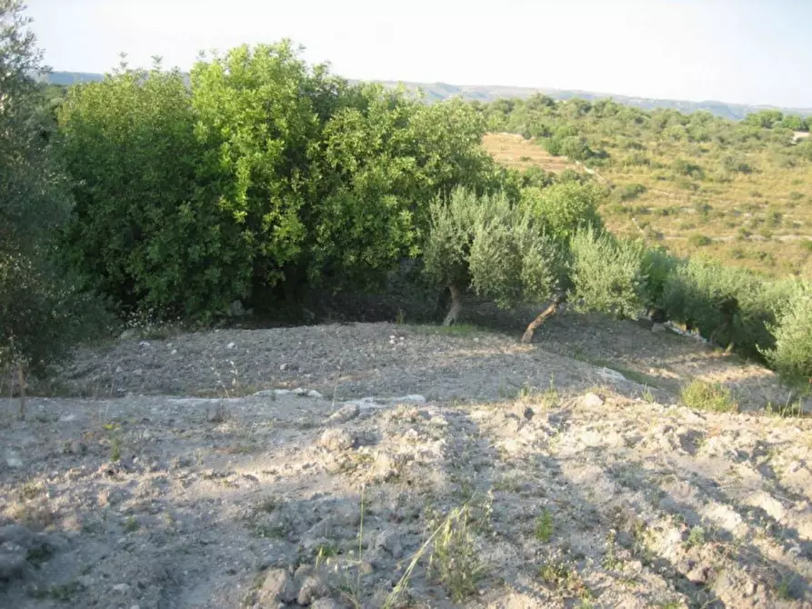 Immagine 4 di Terreno in vendita  in Provinciale 79 a Modica
