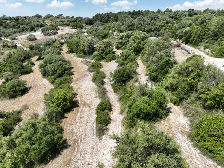 Immagine 4 di Terreno in vendita  in Provinciale 79 a Modica