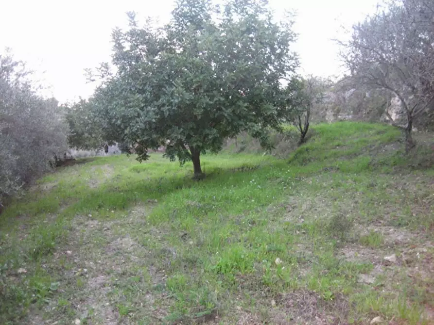 Immagine 5 di Terreno in vendita  in Provinciale 79 a Modica