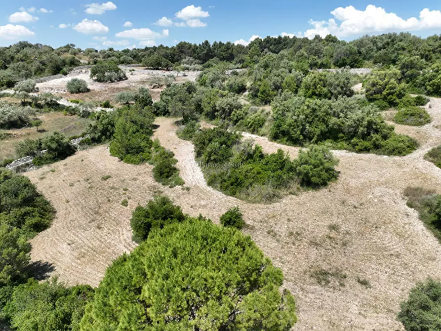 Immagine 5 di Terreno in vendita  in Provinciale 79 a Modica