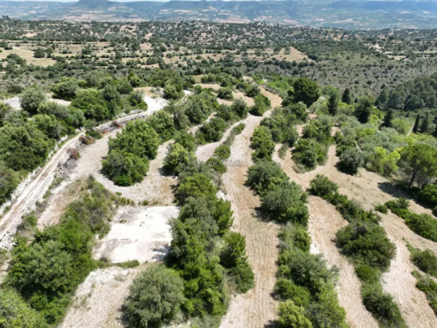 Immagine 6 di Terreno in vendita  in Provinciale 79 a Modica